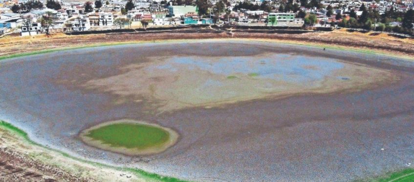 Edomex: De ser un paraíso una laguna se convierte en cementerio de animales