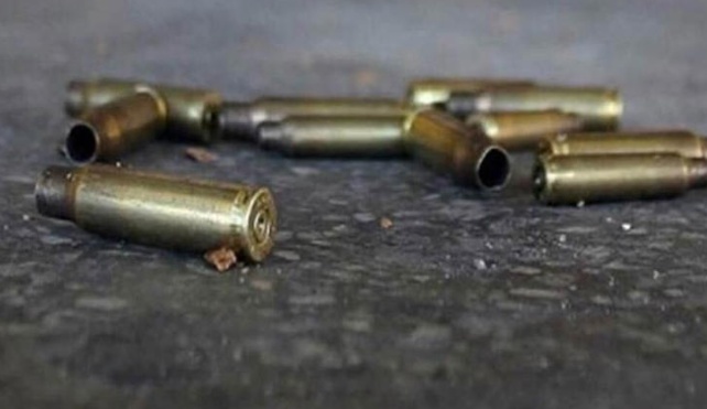 Ejecutan a maestra dentro de su casa en Guanajuato y se llevan a sus dos hijos