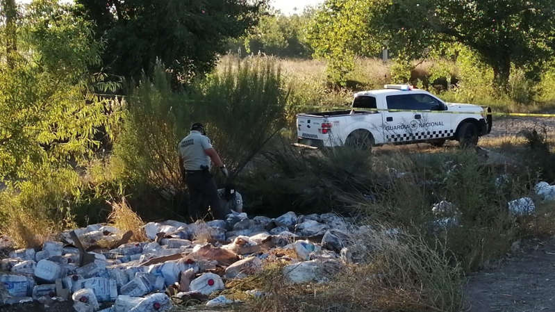 Chihuahua : Tráiler se accidenta y descubren que traía casi 500 kilos de drogas