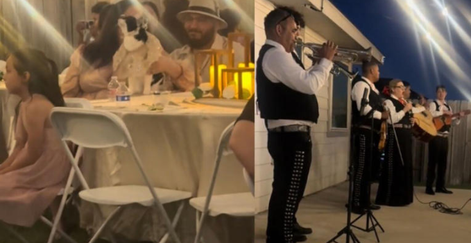 Mujer celebra los 15 años de su gata con mariachis e invitados