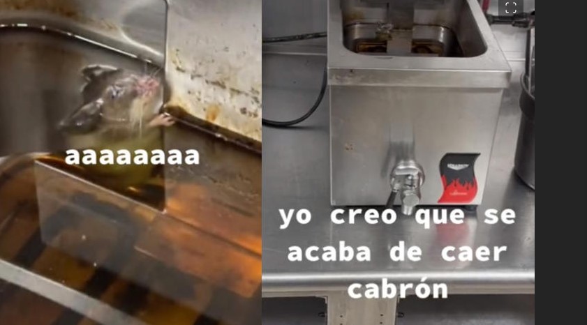 Empleado de restaurante encuentra rata en aceite de freidora; su reacción se viraliza