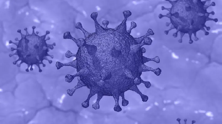 Coronavirus: Las catástrofes sacan lo peor y lo mejor del ser humano