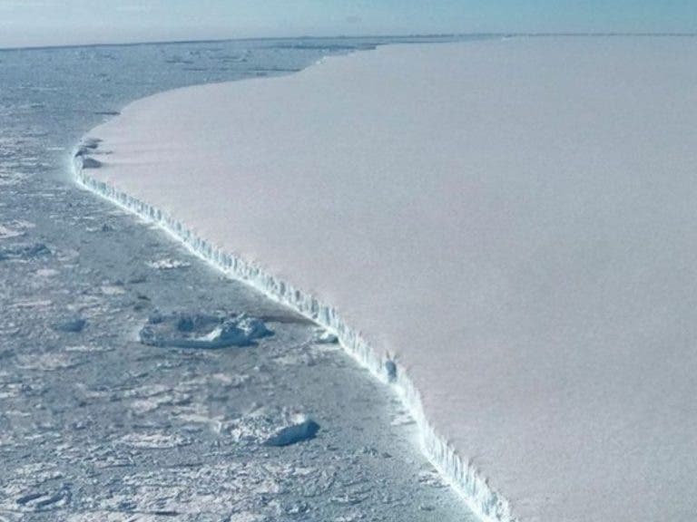 Iceberg más grande que la CDMX amenaza flora y fauna de una isla de GB