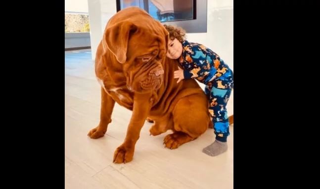 La mascotita  que Lionel Messi le regaló a su hijo menor