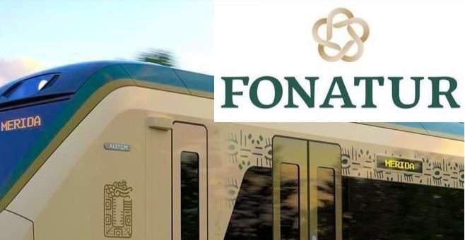 Fonatur: renuncia masiva de 100 trabajadores por Tren Maya