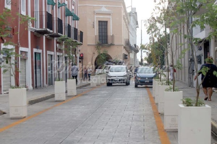 Maceteros de Mérida solo estarían tres meses pero ya se prolongó el tiempo