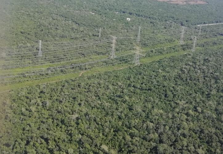 El marzo iniciará la construcción del Tren Maya, dicen