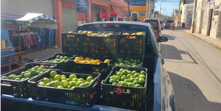 El limón aumenta su precio previo a la Cuaresma: Cuesta $300 caja de 18 kg