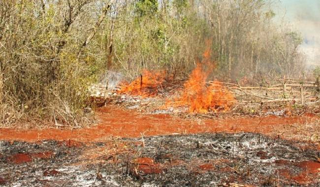 Finaliza temporada de quemas en Yucatán