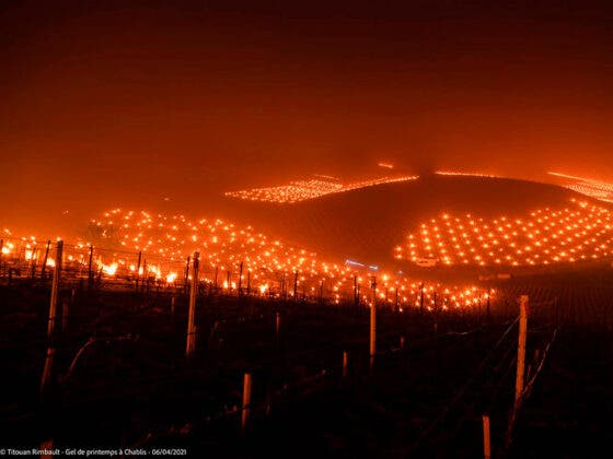 No es un panteón con velas, así protegen los viñedos en Francia