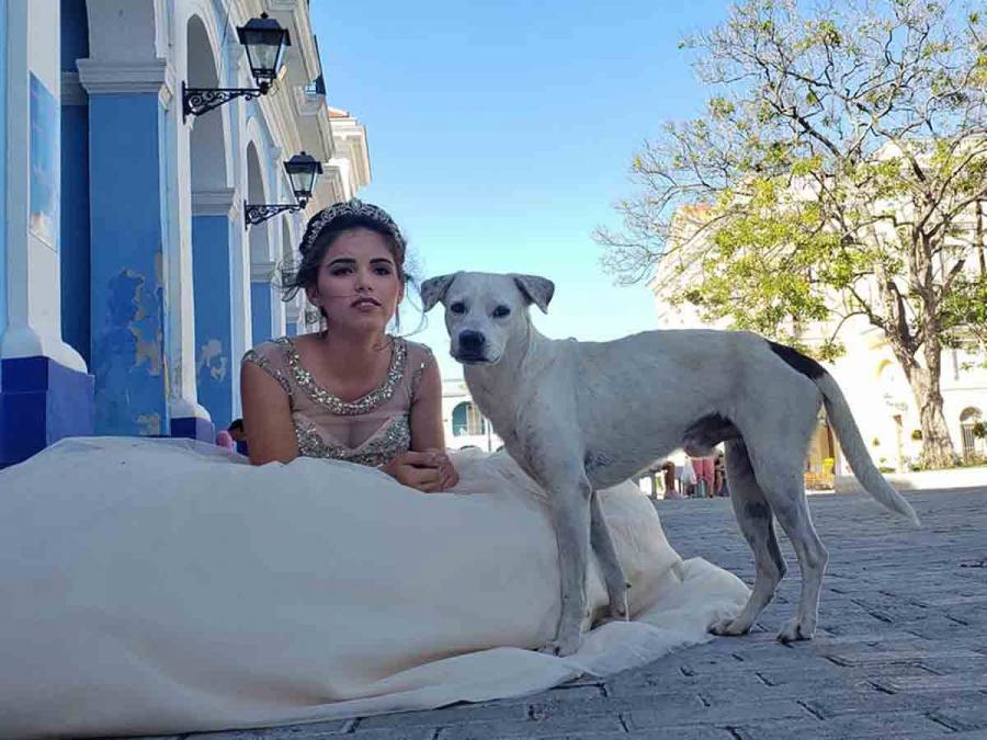 Perrito callejero se inmortaliza al posar en fotos de quinceañera