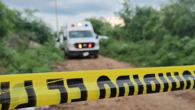 Sinaloa: Hallan restos de 5 personas en fosas clandestinas