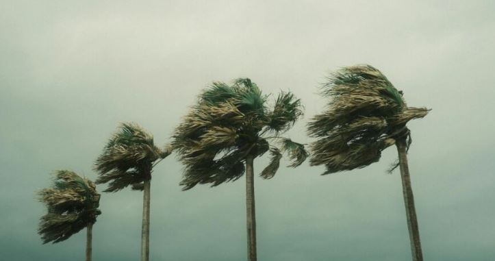Los huracanes mayores que se esperan para la temporada 2024 en el Atlántico