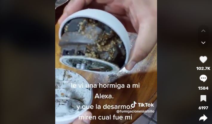 (VÍDEO) Desarma su Alexa y se lleva tremenda sorpresa