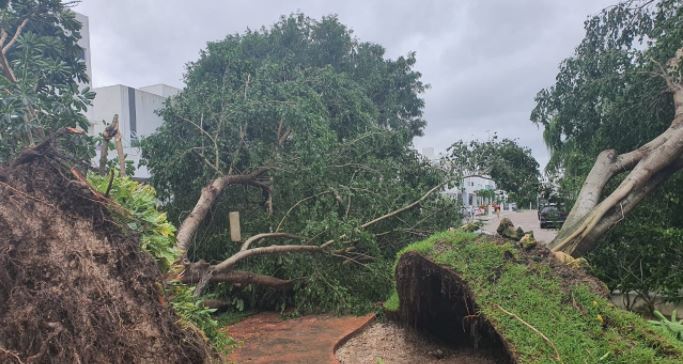 Según  Protección Civil federal hubo "saldo blanco" tras paso del Huracán Delta