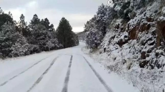 Chihuahua se llena de nieve