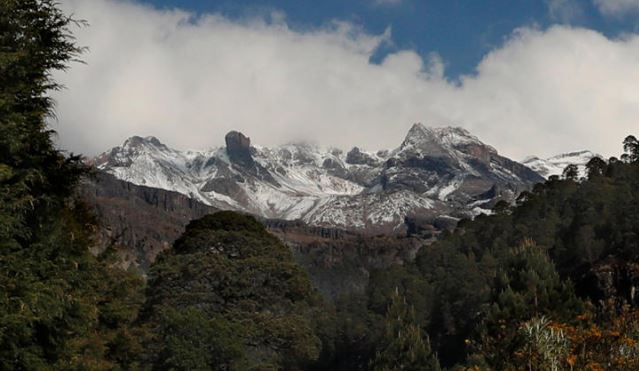 Taladores clandestinos matan a 3 guardabosques en México