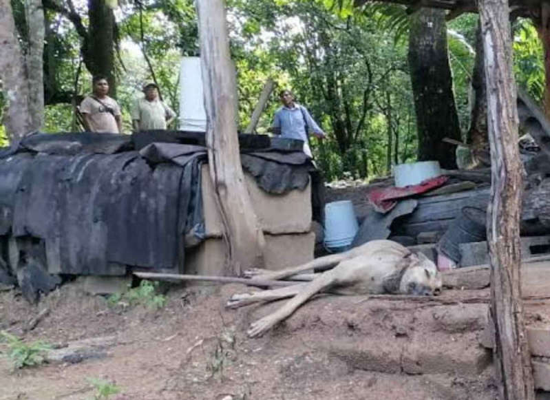 Mueren dos personas y dos perros tras caerles un rayo en Oaxaca