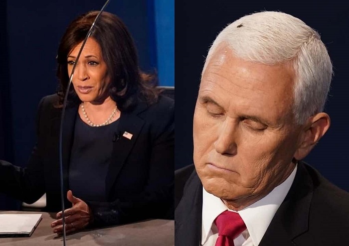 Mosca en cabeza de Mike Pence roba escena durante debate vicepresidencial