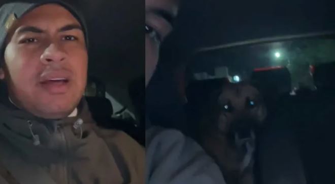 Michoacán: Le piden viaje de Uber y resultó que su pasajero es un perro