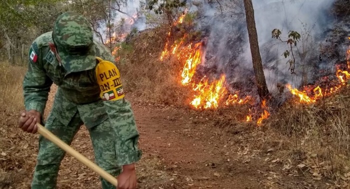 Una “carnita asada” originó el incendio en la sierra entre Coahuila y Nuevo León