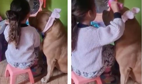 (VÍDEO) Niña juega con su perro a las princesas y lo hace sentir hermoso