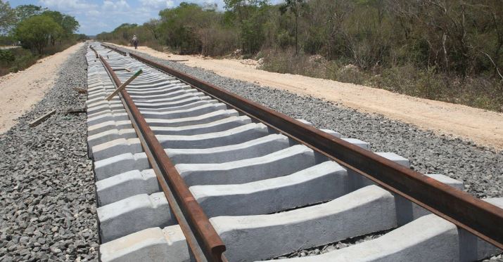 Fonatur: Los 7 tramos del Tren Maya carecen de Estudios de Impacto Ambiental
