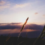 Ambiente