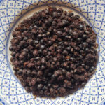 Chicatanas