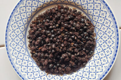 Chicatanas